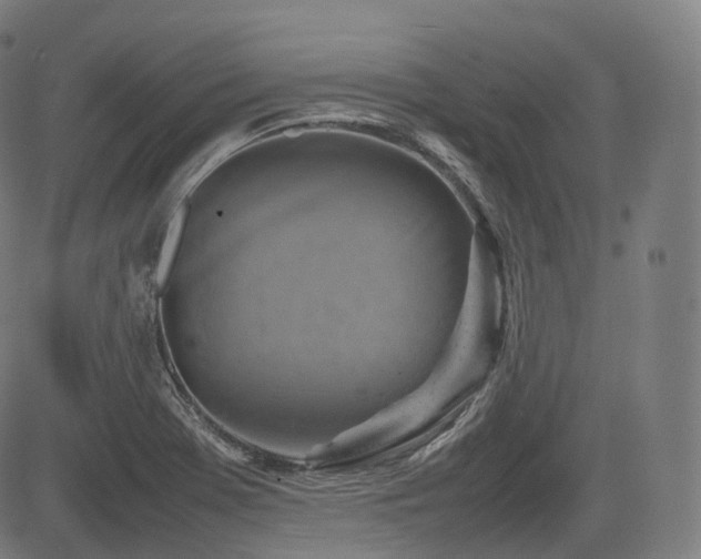 X0000085271369200703091341