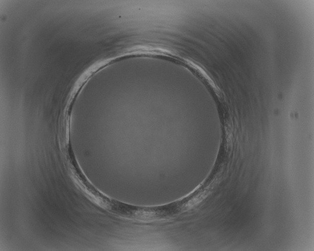 X0000085271371200703091341