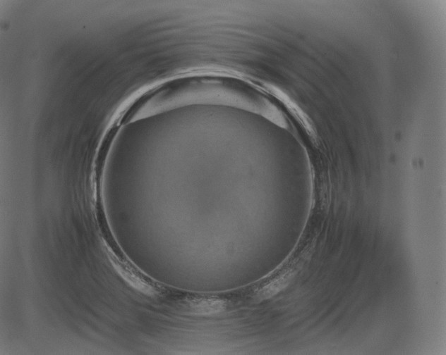 X0000085271372200703091341