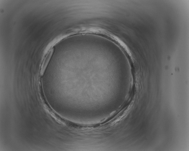 X0000085271373200703091341