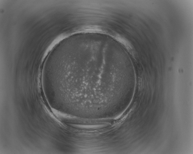 X0000085271374200703091341