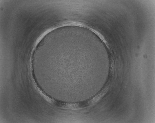 X0000085271375200703091341