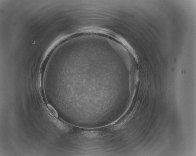 X0000085271376200703091341