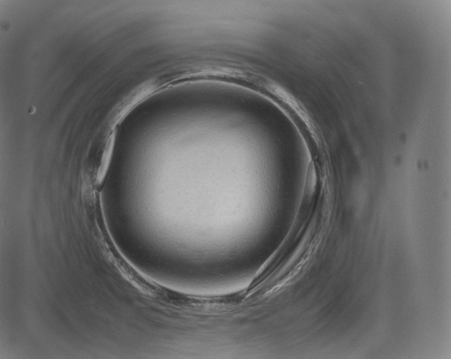 X0000085271377200703091341