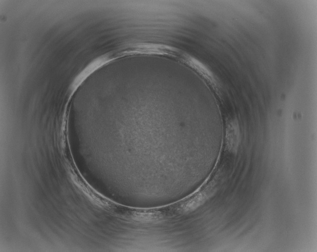 X0000085271378200703091341