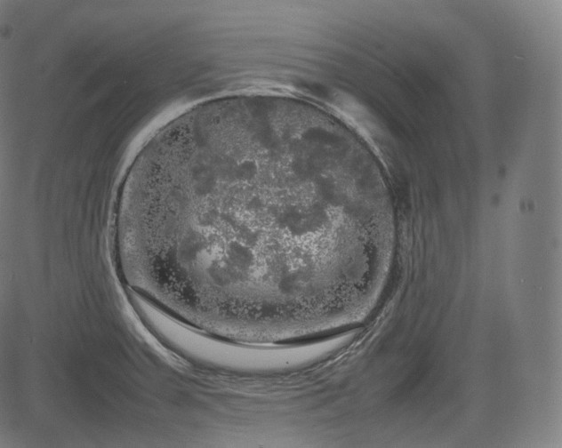 X0000085271379200703091341