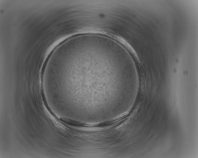 X0000085271380200703091341