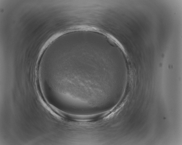 X0000085271381200703091341