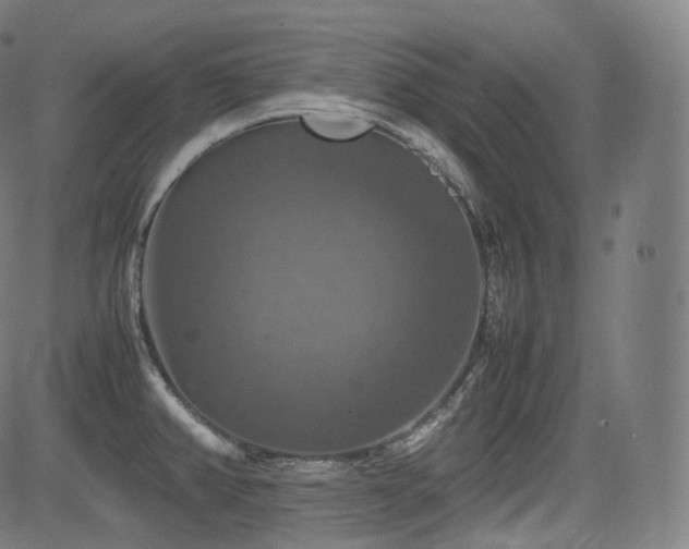 X0000085271382200703091341