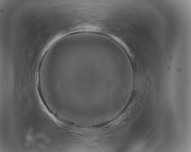 X0000085271383200703091341