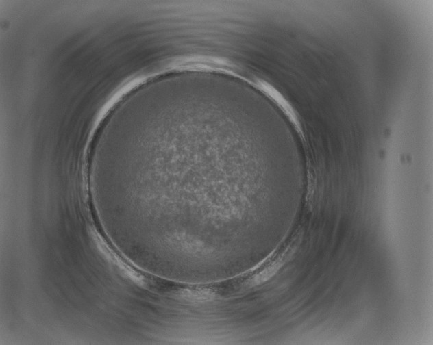 X0000085271384200703091341