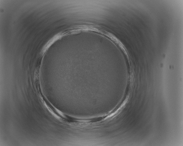 X0000085271385200703091341