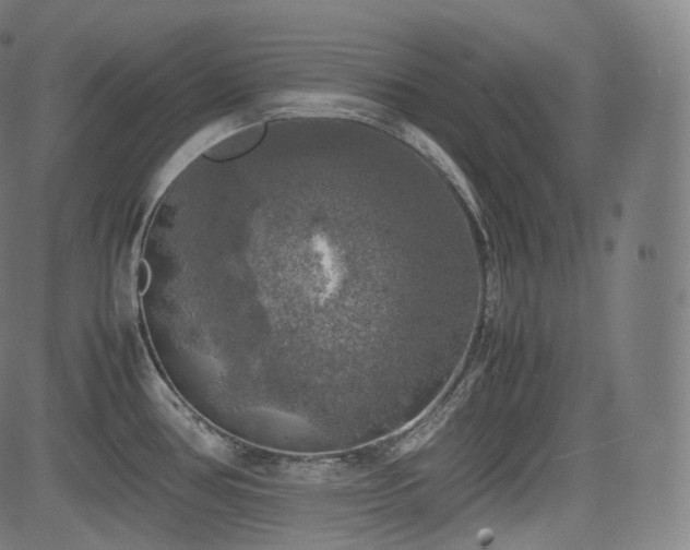 X0000085271386200703091341