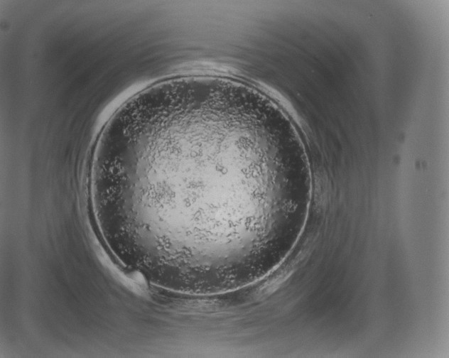 X0000085271387200703091341