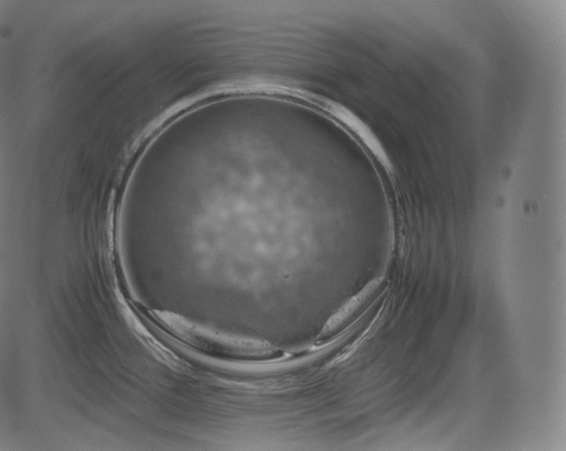 X0000085271388200703091341