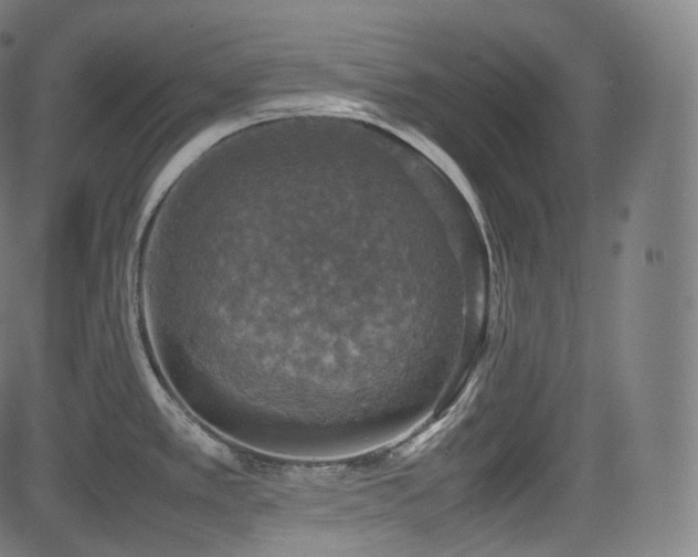 X0000085271389200703091341