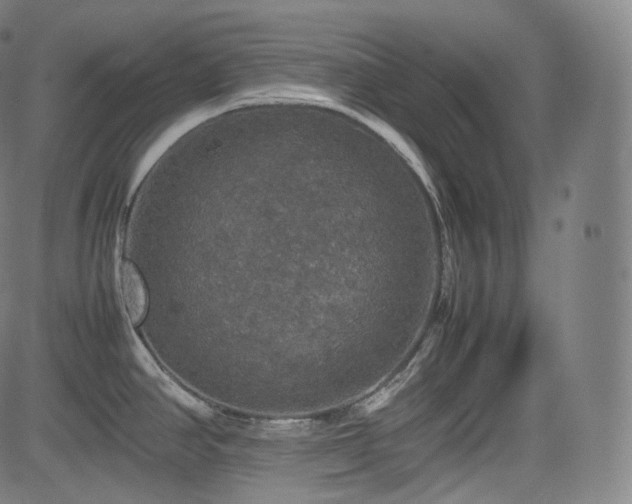 X0000085271390200703091341