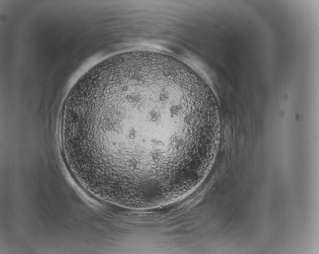 X0000085271391200703091341