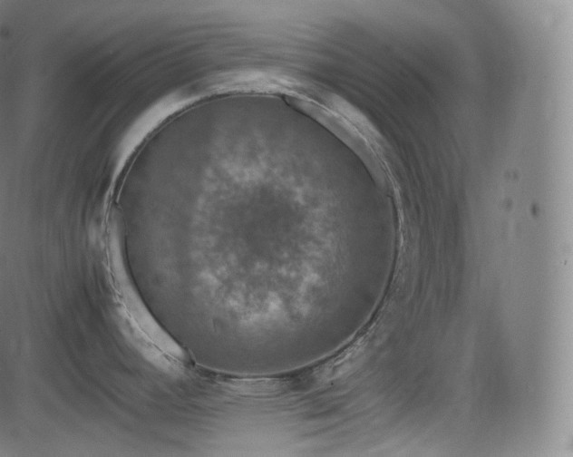 X0000085271392200703091341