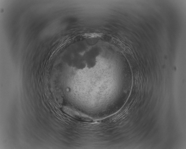 X0000085271393200703091340