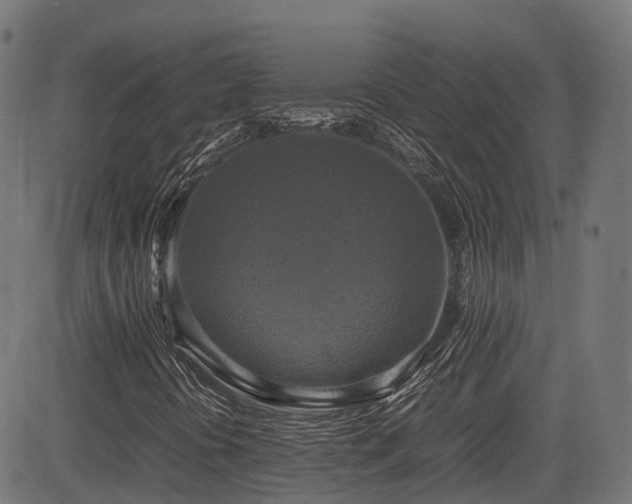 X0000085271394200703091340