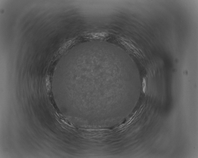 X0000085271395200703091340