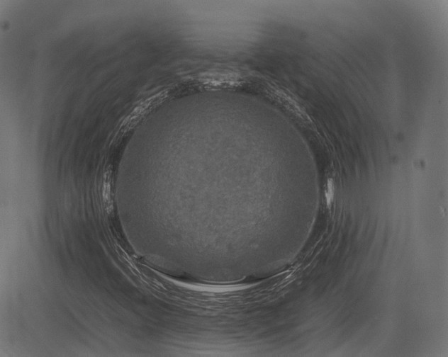 X0000085271396200703091340