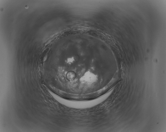 X0000085271397200703091340