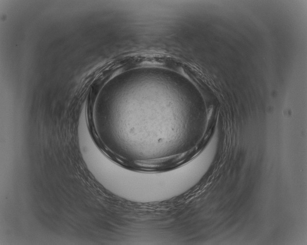 X0000085271398200703091340