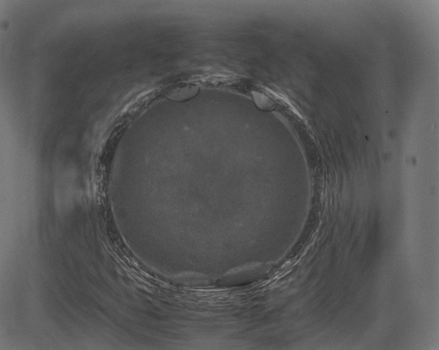 X0000085271399200703091340