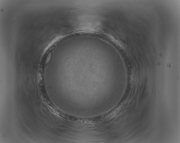 X0000085271400200703091340