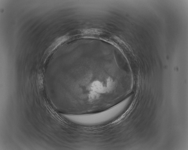 X0000085271401200703091340