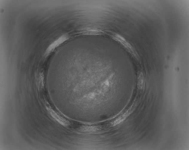 X0000085271402200703091340