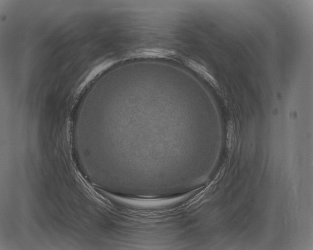 X0000085271404200703091340