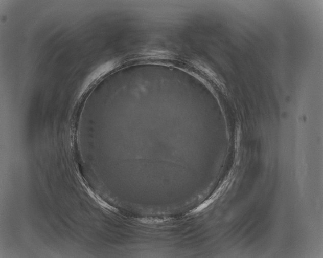 X0000085271405200703091340