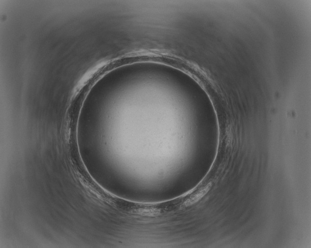 X0000085271406200703091340