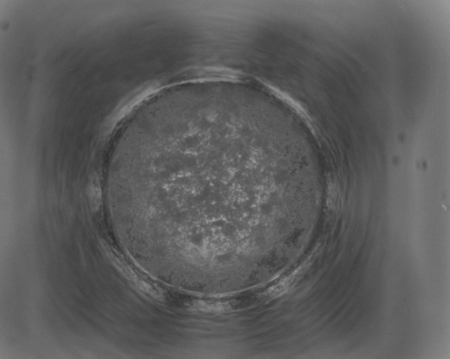 X0000085271407200703091340