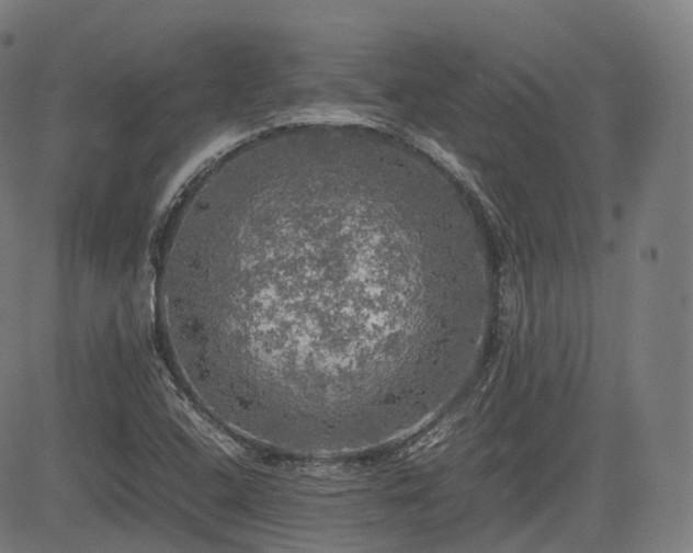 X0000085271408200703091340