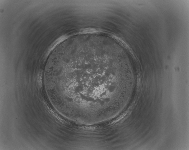 X0000085271409200703091340