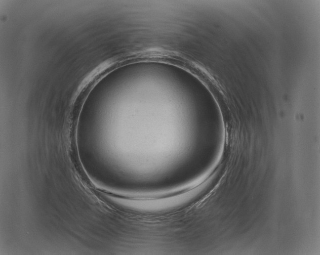 X0000085271410200703091340