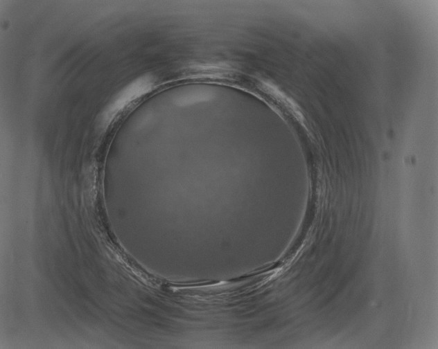 X0000085271411200703091340