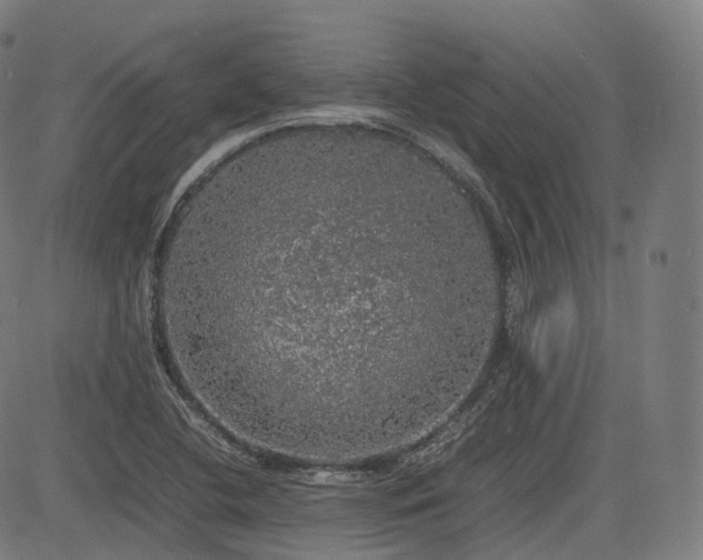 X0000085271412200703091340