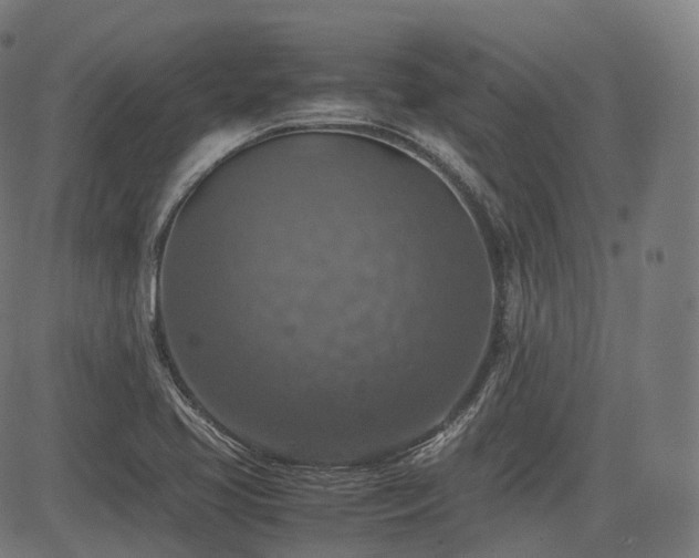 X0000085271413200703091340