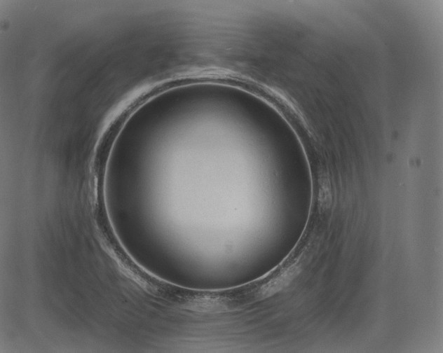 X0000085271414200703091340