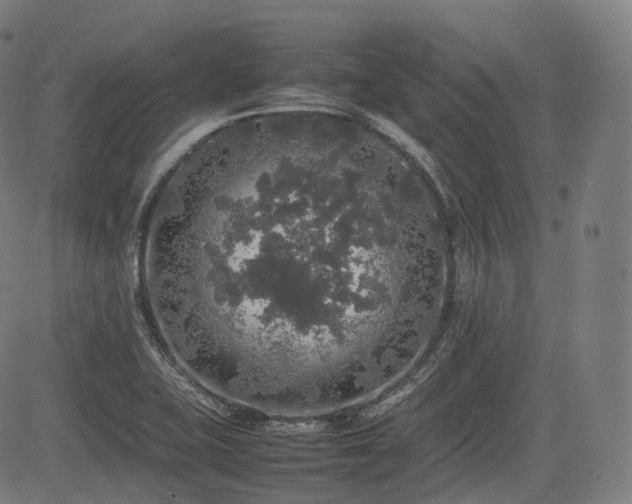 X0000085271415200703091340