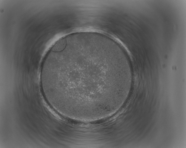 X0000085271416200703091340