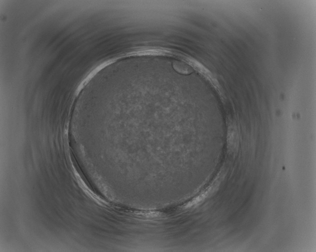 X0000085271417200703091340