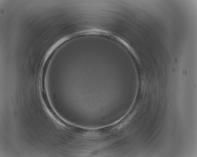 X0000085271418200703091340