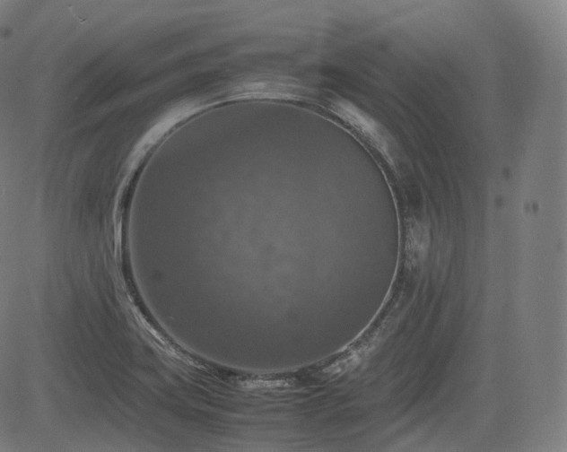 X0000085271419200703091340