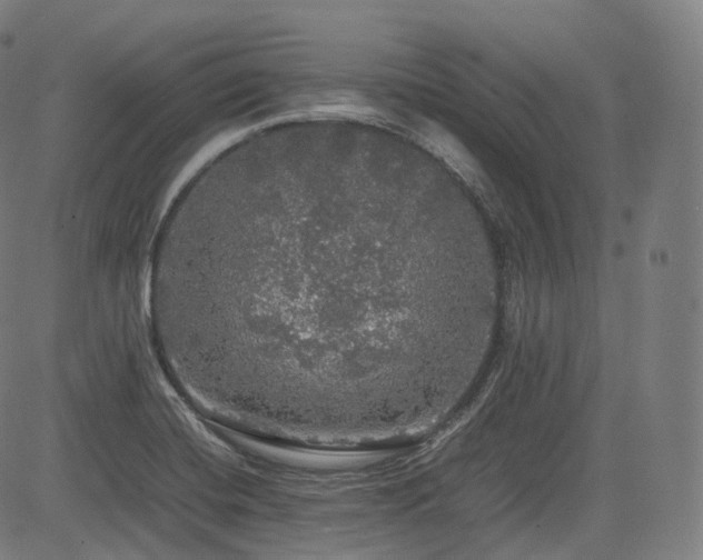 X0000085271420200703091340